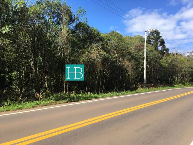 Venda em Mato Comprido - Morro Reuter