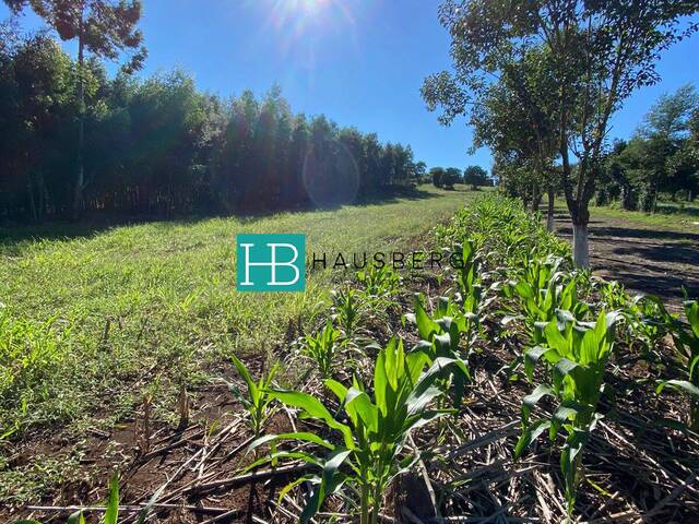 #423 - Terreno para Venda em Morro Reuter - RS - 3