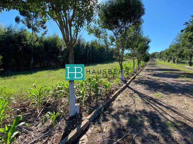 #423 - Terreno para Venda em Morro Reuter - RS - 2