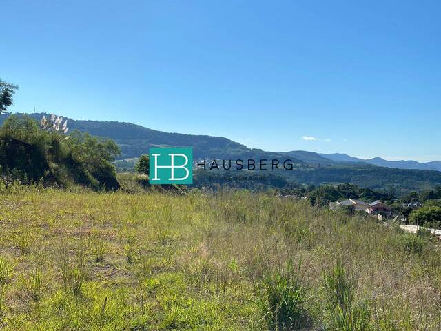 Terreno para Venda em Morro Reuter - 5