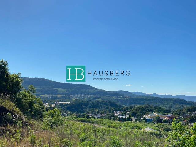 #442 - Terreno para Venda em Morro Reuter - RS - 2