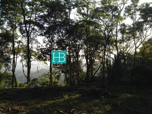 #317 - Área para Venda em Morro Reuter - RS - 3