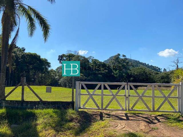 #451 - Área para Venda em Morro Reuter - RS - 1