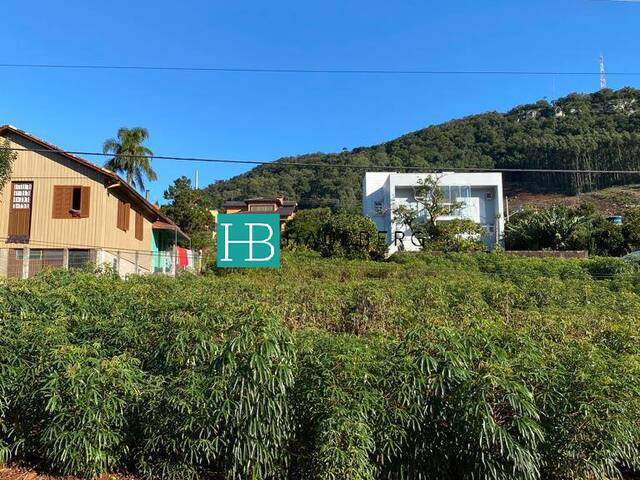 #457 - Terreno para Venda em Morro Reuter - RS - 3