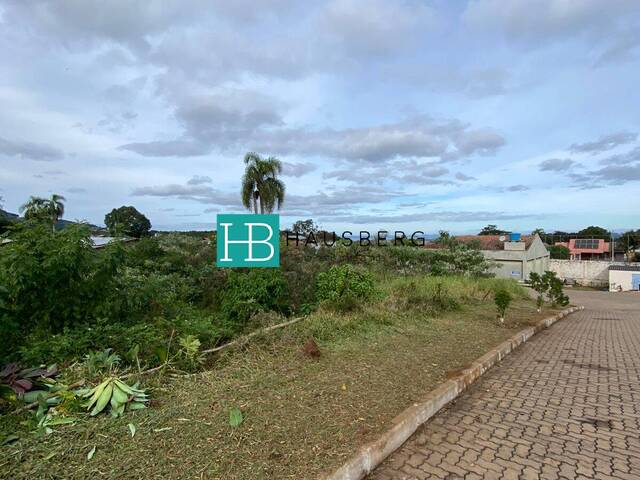 #467 - Terreno para Venda em Morro Reuter - RS