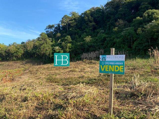 Área para Venda em Morro Reuter - 5