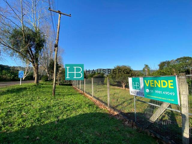 Terreno para Venda em Morro Reuter - 5