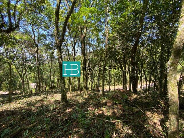#490 - Terreno para Venda em Morro Reuter - RS - 2