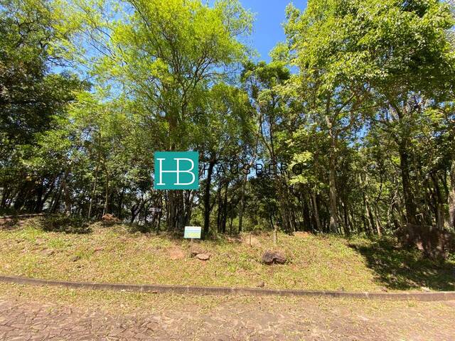 Terreno para Venda em Morro Reuter - 5