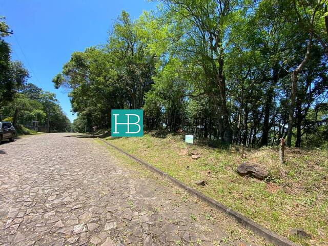 #490 - Terreno para Venda em Morro Reuter - RS - 3