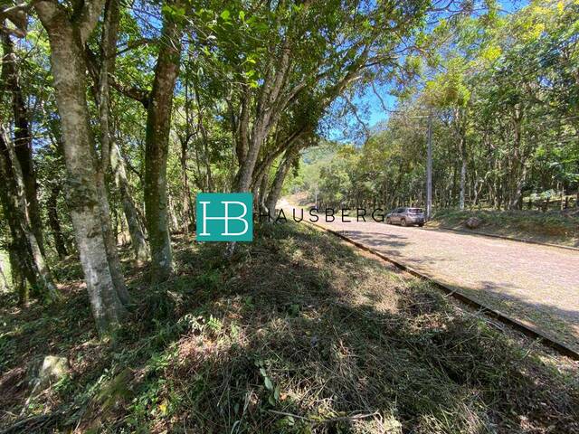 Venda em Belvedere - Morro Reuter