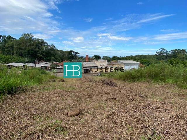 Terreno para Venda em Morro Reuter - 4