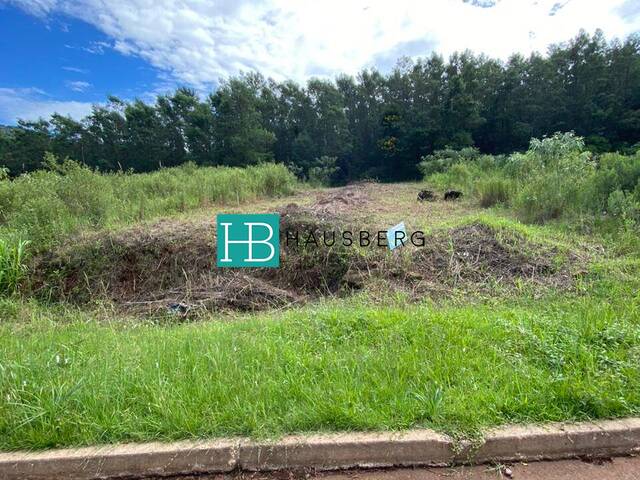 Terreno para Venda em Morro Reuter - 5