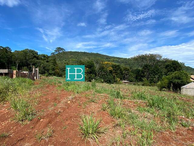 #465 - Área para Venda em Morro Reuter - RS - 3