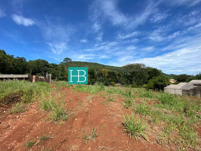 #465 - Área para Venda em Morro Reuter - RS - 2