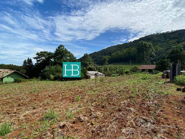 #465 - Área para Venda em Morro Reuter - RS - 1