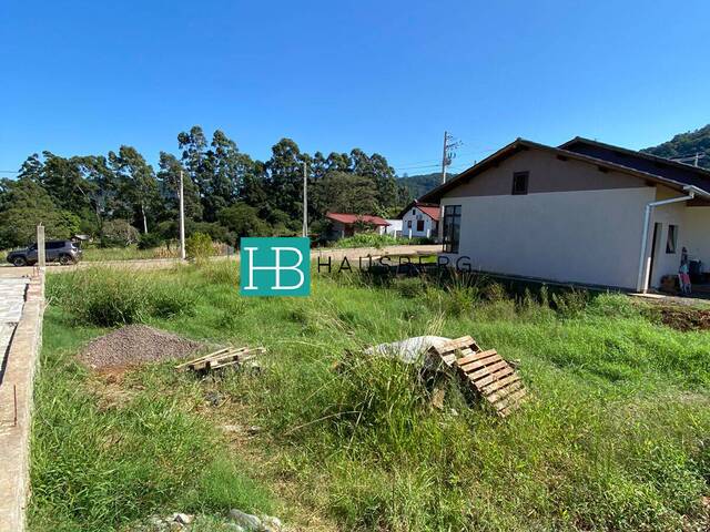 Área para Venda em Morro Reuter - 5