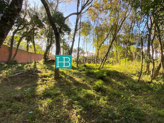 #517 - Terreno para Venda em Morro Reuter - RS