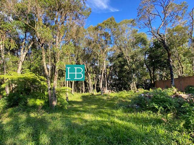 #517 - Terreno para Venda em Morro Reuter - RS