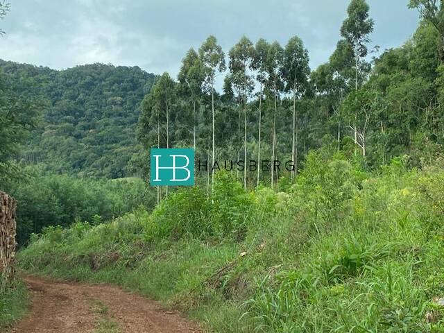 Chácara para Venda em Sapiranga - 4
