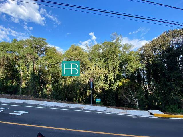 #308 - Terreno para Venda em Morro Reuter - RS - 1