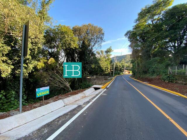 #308 - Terreno para Venda em Morro Reuter - RS - 3