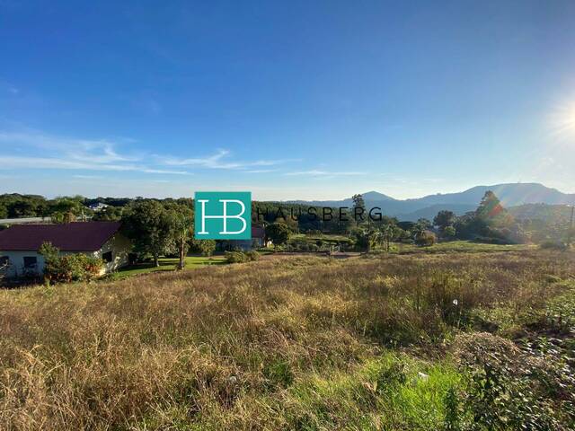 #524 - Terreno para Venda em Morro Reuter - RS - 2