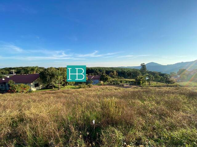 #524 - Terreno para Venda em Morro Reuter - RS - 3