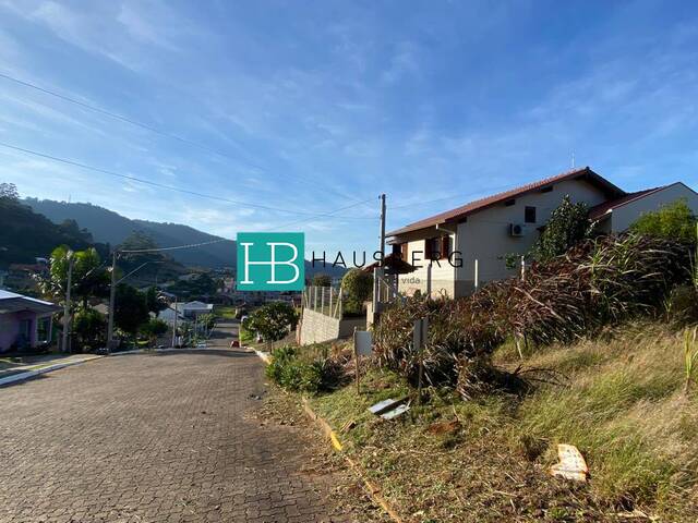 #527 - Terreno para Venda em Morro Reuter - RS - 3