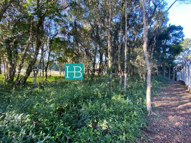 #533 - Terreno para Venda em Morro Reuter - RS - 3
