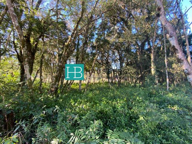 #533 - Terreno para Venda em Morro Reuter - RS - 2