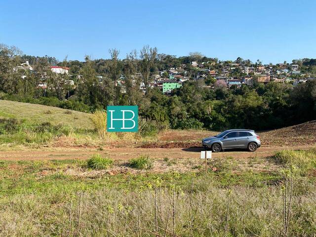 #537 - Terreno para Venda em Dois Irmãos - RS - 3