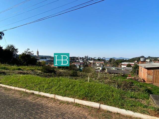 #255 - Terreno para Venda em Morro Reuter - RS - 2