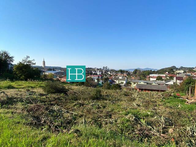#255 - Terreno para Venda em Morro Reuter - RS - 1