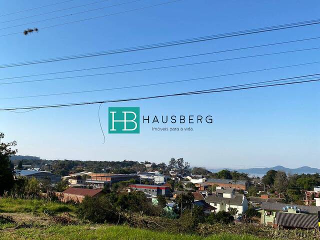 Terreno para Venda em Morro Reuter - 4