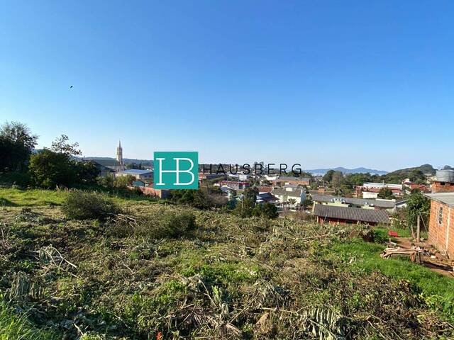 Terreno para Venda em Morro Reuter - 5