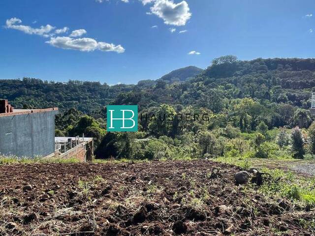 #541 - Terreno para Venda em Morro Reuter - RS - 3