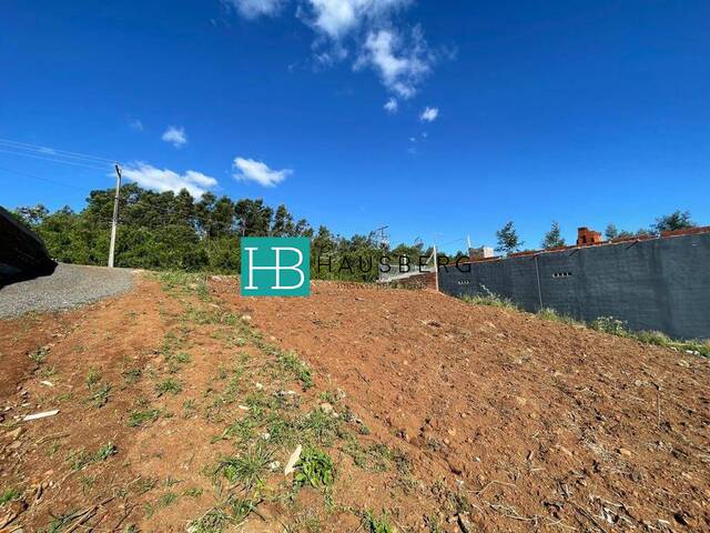 #541 - Terreno para Venda em Morro Reuter - RS - 2