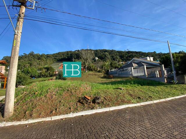 #543 - Área para Venda em Morro Reuter - RS - 3