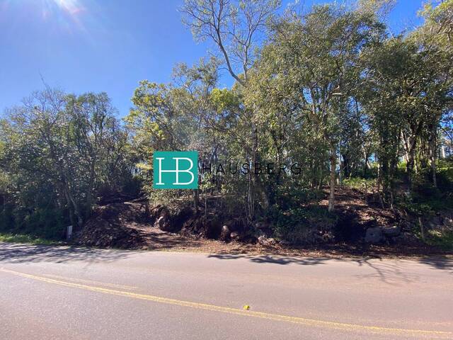 #546 - Terreno para Venda em Morro Reuter - RS - 2