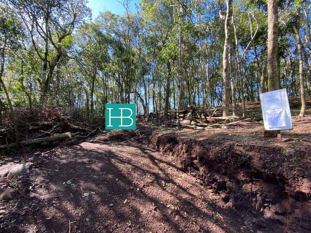 Terreno para Venda em Morro Reuter - 4