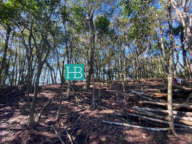 #546 - Terreno para Venda em Morro Reuter - RS - 3