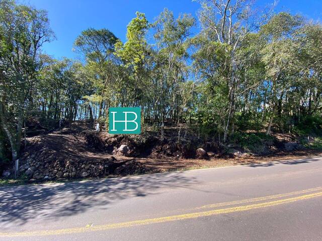 #546 - Terreno para Venda em Morro Reuter - RS - 1