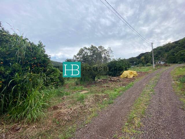 #548 - Terreno para Venda em Morro Reuter - RS