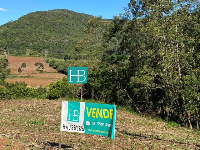 Terreno para Venda em Morro Reuter - 5