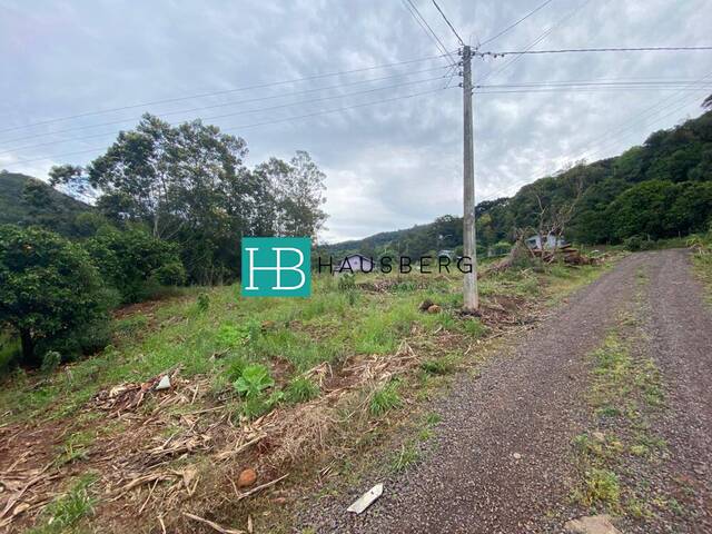 Terreno para Venda em Morro Reuter - 4