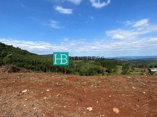 Chácara para Venda em Morro Reuter - 4