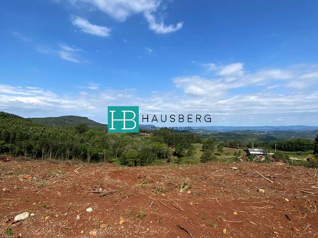 Chácara para Venda em Morro Reuter - 5