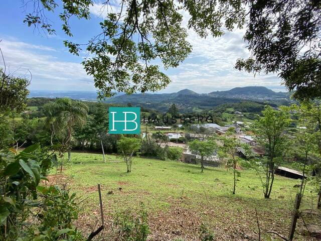 Área para Venda em Morro Reuter - 5
