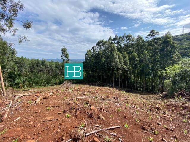 Chácara para Venda em Morro Reuter - 4